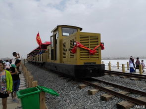 盐山汽车有多少辆 盐山汽车有多少辆