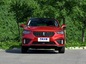 wey汽车要多少预算