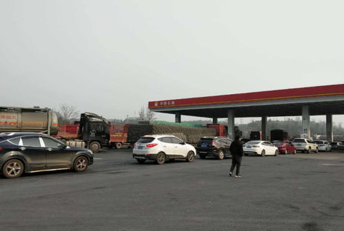 安徽亳州汽车油价多少