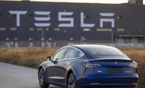 特斯拉汽车长度多少