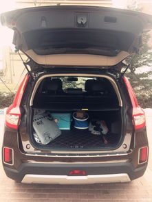 汽车炭包放多少