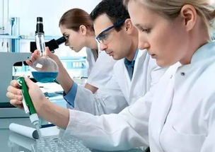 汽车制造研发年薪多少