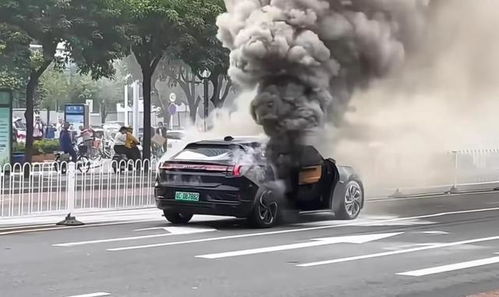 汽车被烧赔多少