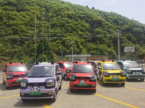 佛坪共享汽车押金多少