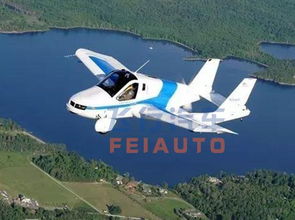 未来飞行汽车售价多少