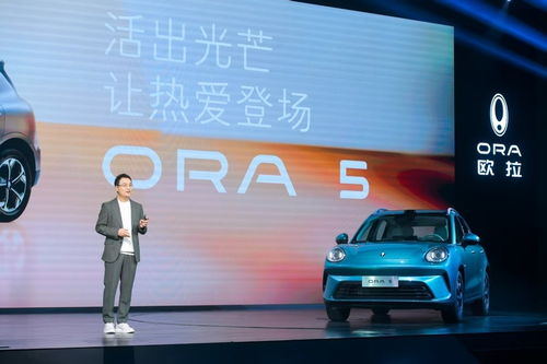 昊珀汽车售价多少