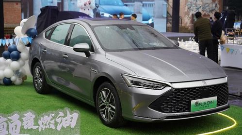 DM秦汽车设置多少