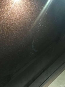 汽车喷漆云母多少目