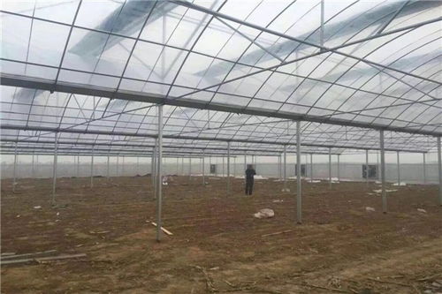 汽车拍摄大棚价格多少