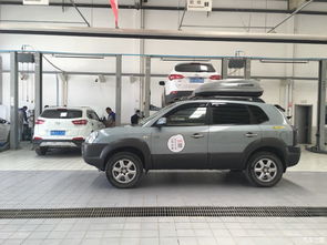 西藏汽车有多少辆车