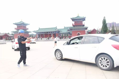 伊川汽车有多少辆