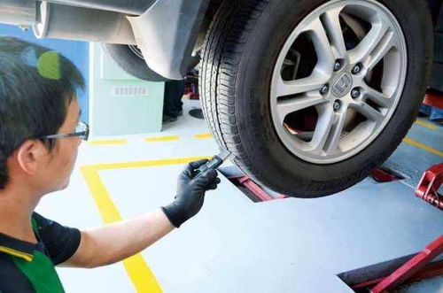 汽车胎有多少种