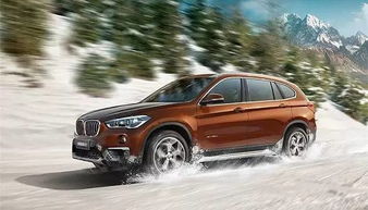 蛙王汽车多少钱