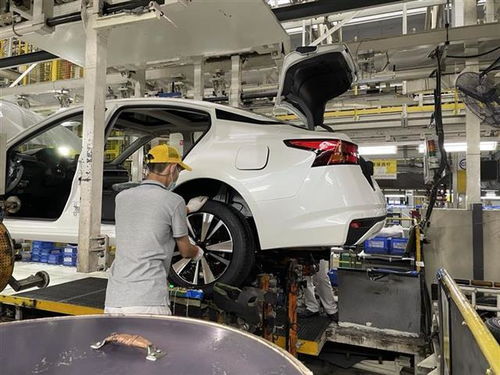 襄阳有多少辆汽车