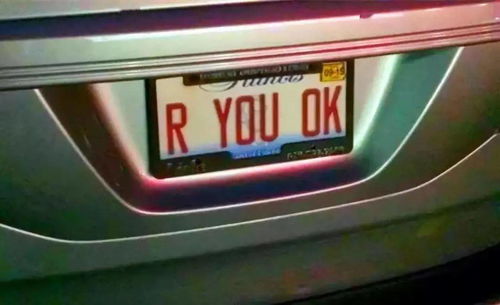 汽车罚单编号多少位