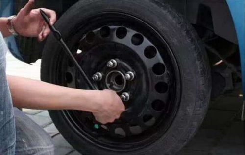 备胎多少钱汽车