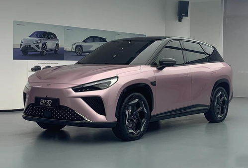 哪吒汽车l预订多少