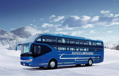 象山汽车渡轮价格多少 象山汽车渡轮价格多少