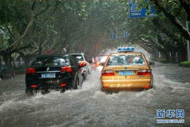 南京有多少日本汽车