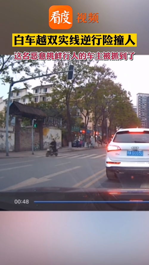 日本汽车逆行罚款多少