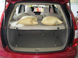 在市区汽车多少排量