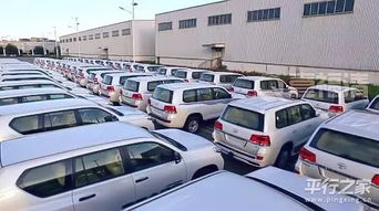 以色列进口汽车数量多少