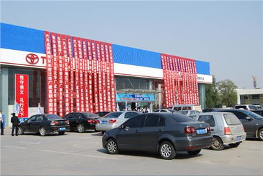 东营有多少汽车店