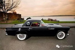 世界汽车多少种车型