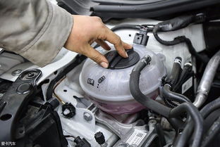 抬升汽车多少钱