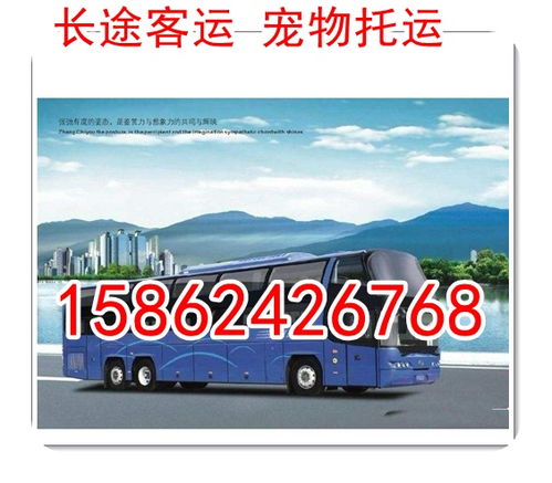 仙游汽车干洗价格多少