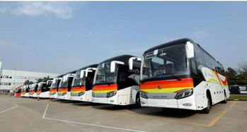 金龙汽车有多少方