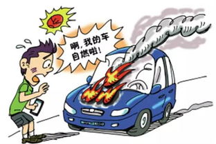 众安汽车保费多少