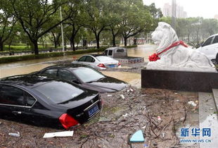 浙江温岭汽车有多少