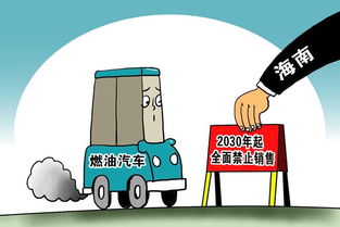 海南燃油汽车增量多少