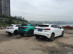 汽车兄弟负债多少了