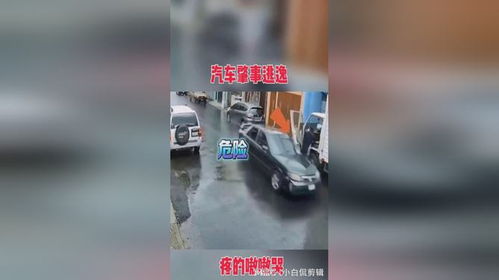 汽车肇事逃逸赔多少