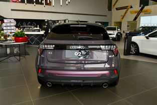 一升汽车多少克