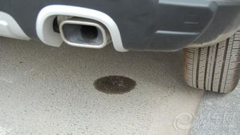 汽车排气槽长度多少