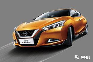 樟树有多少大汽车