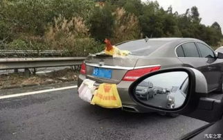 汽车压到鸭子赔多少 汽车压到鸭子赔多少