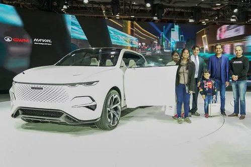 印度本土汽车数量多少 印度本土汽车数量多少