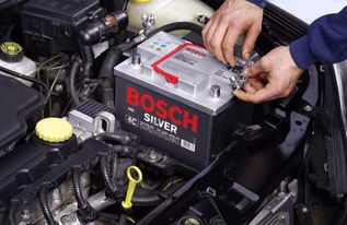 路遥汽车电瓶多少伏