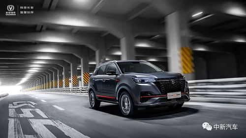 长安汽车股价多少啊 长安汽车股价多少啊