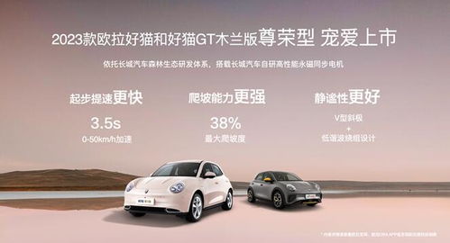 好猫汽车首付多少