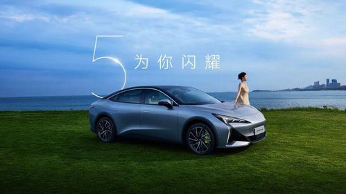 极狐汽车多少万