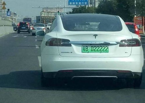 汽车绿牌尺寸多少