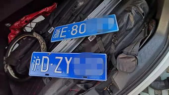 汽车换牌照多少天