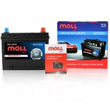 远程汽车电池价格多少 远程汽车电池价格多少