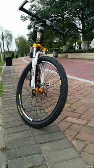 单车与汽车差距多少 单车与汽车差距多少