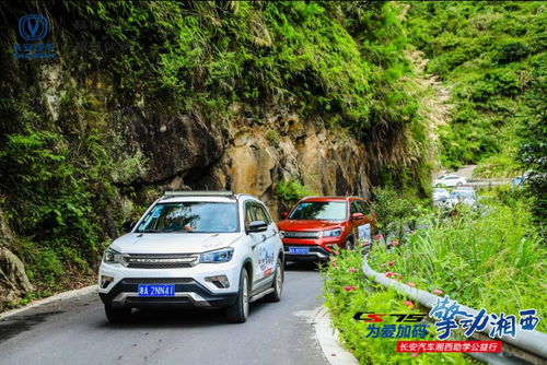 湘西龙山有多少汽车 湘西龙山有多少汽车